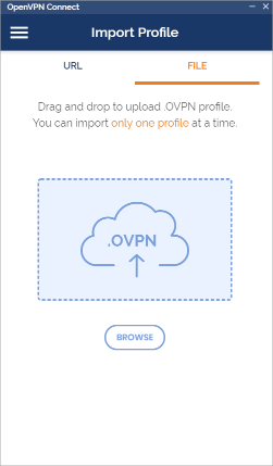 OpenVPN Connect. Drag & drop configuration file.